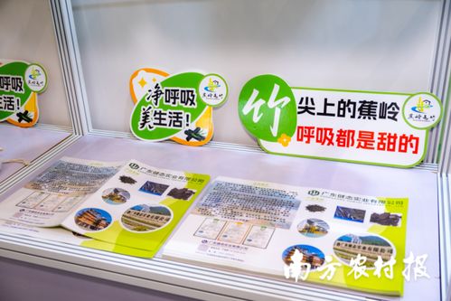 竹炭科技點亮綠色未來 廣東健態實業以 黑金 破局竹業新賽道